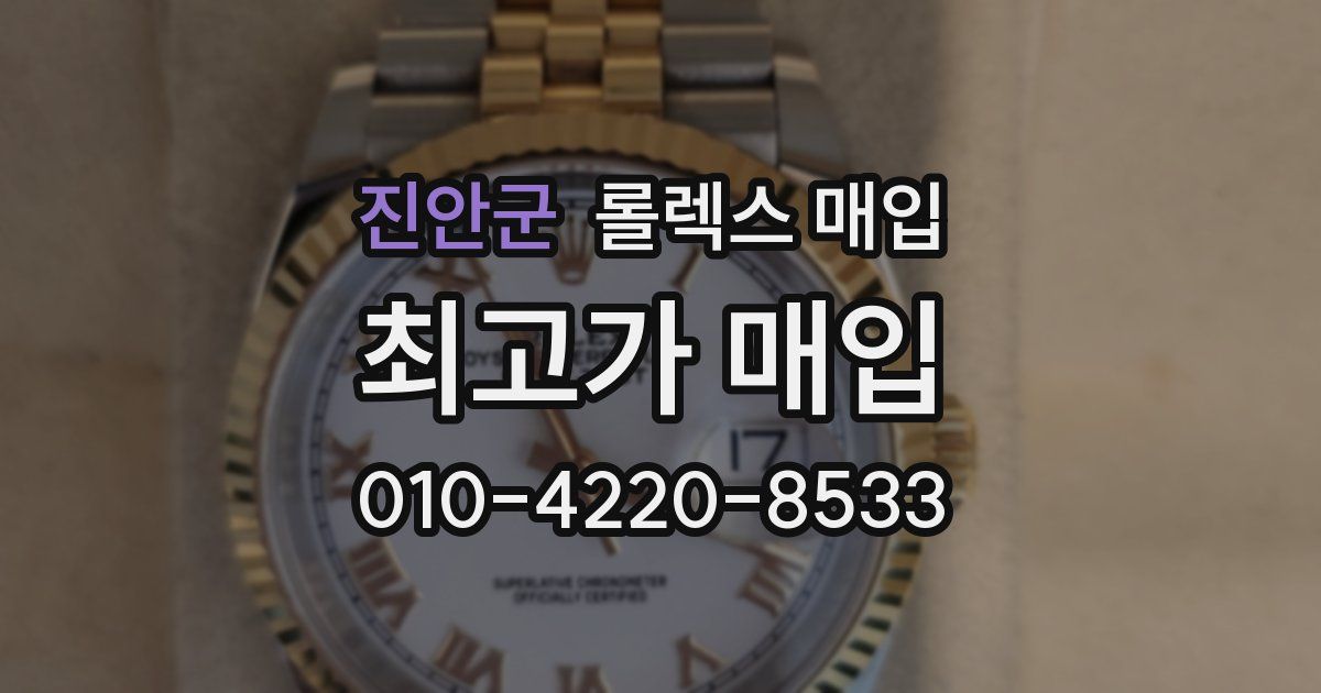 진안군 롤렉스 매입