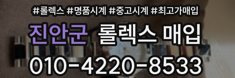 진안군 롤렉스 매입