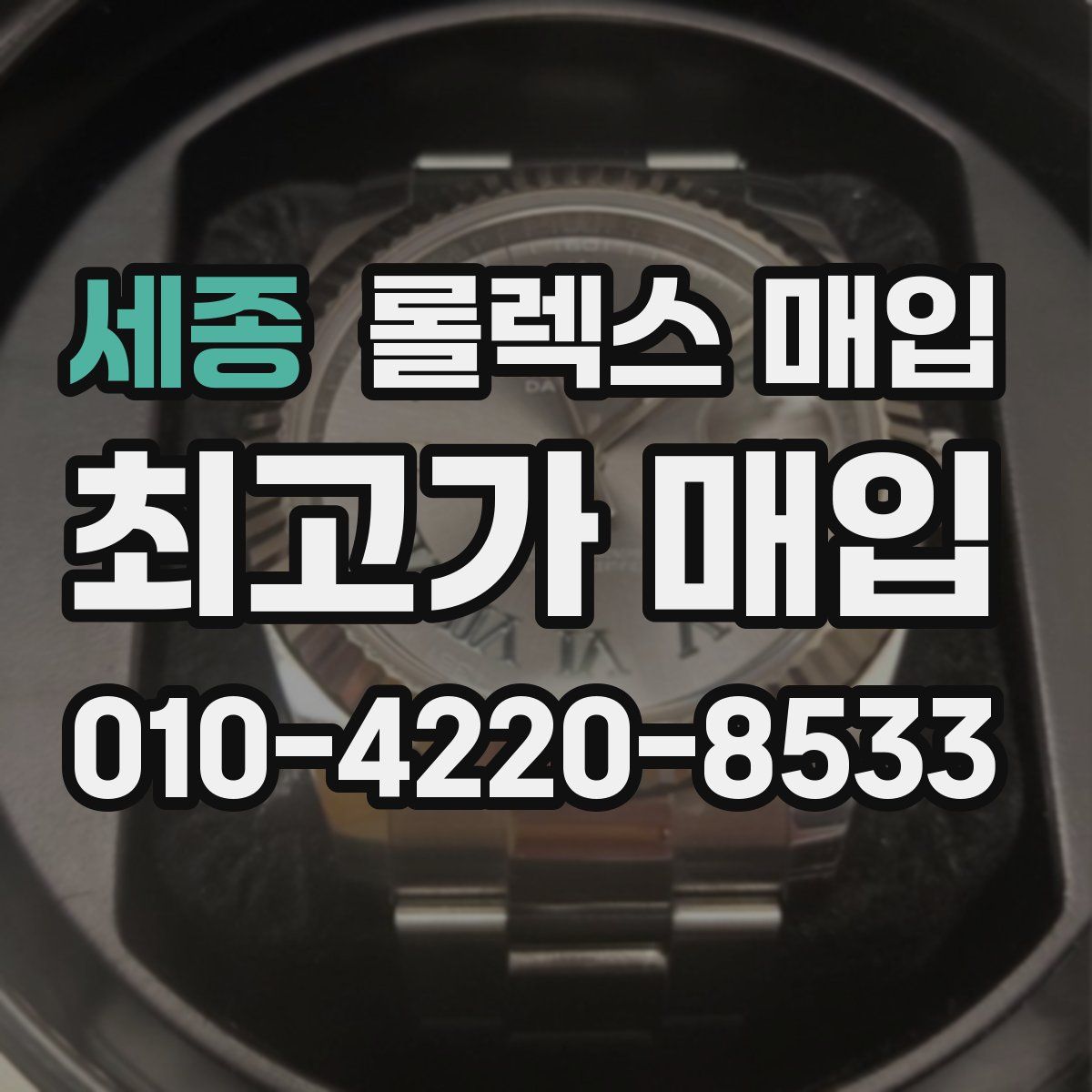 세종 롤렉스 매입