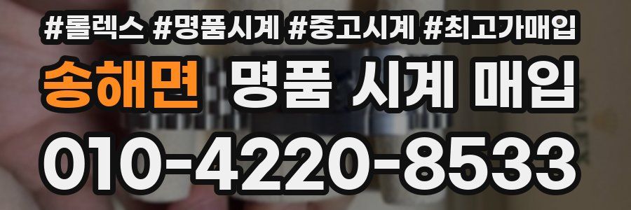 송해면 명품 시계 매입
