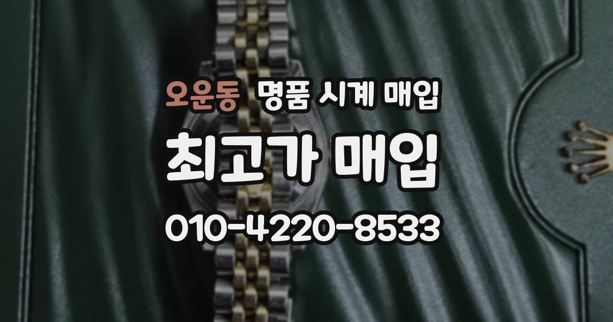 오운동 명품 시계 매입
