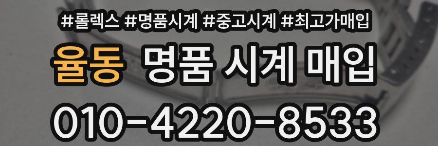 율동 명품 시계 매입