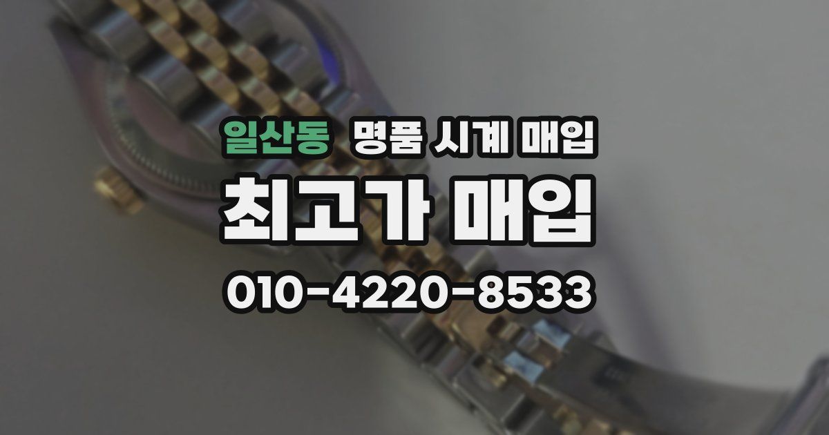 일산동 명품 시계 매입