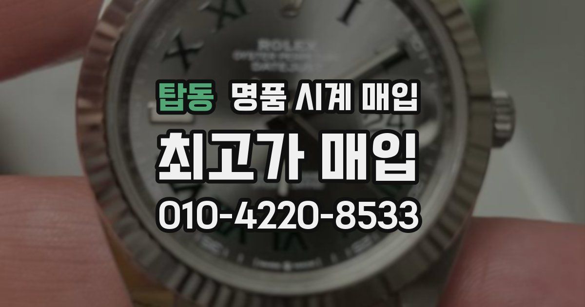 탑동 명품 시계 매입