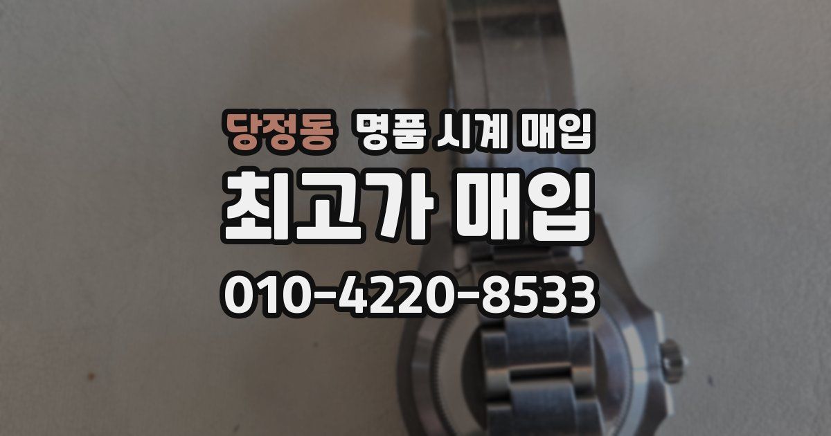 당정동 명품 시계 매입