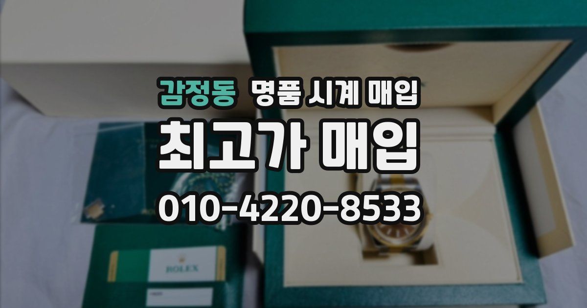 감정동 명품 시계 매입