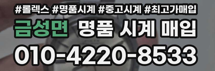 금성면 명품 시계 매입