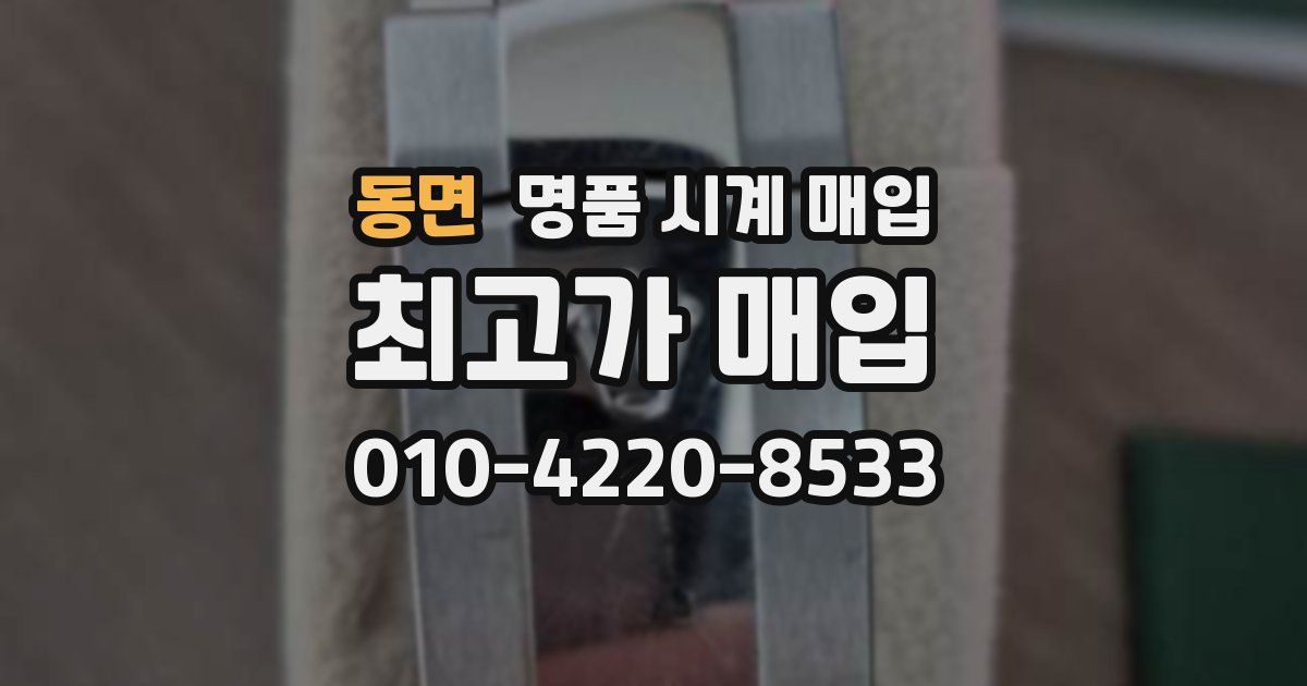 동면 명품 시계 매입