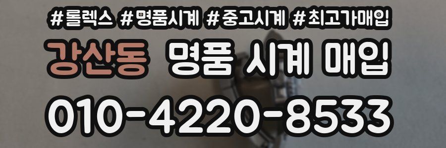 강산동 명품 시계 매입