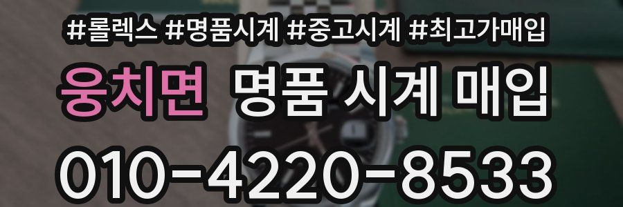 웅치면 명품 시계 매입