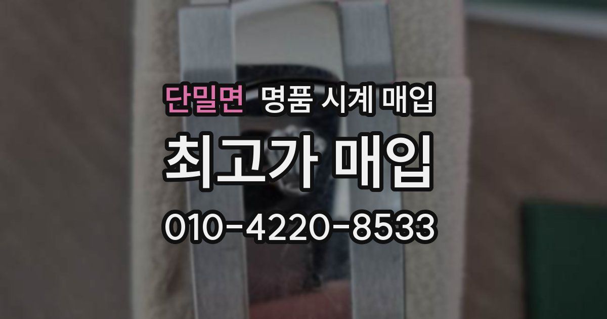 단밀면 명품 시계 매입
