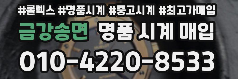 금강송면 명품 시계 매입