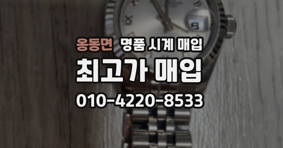 옹동면 명품 시계 매입