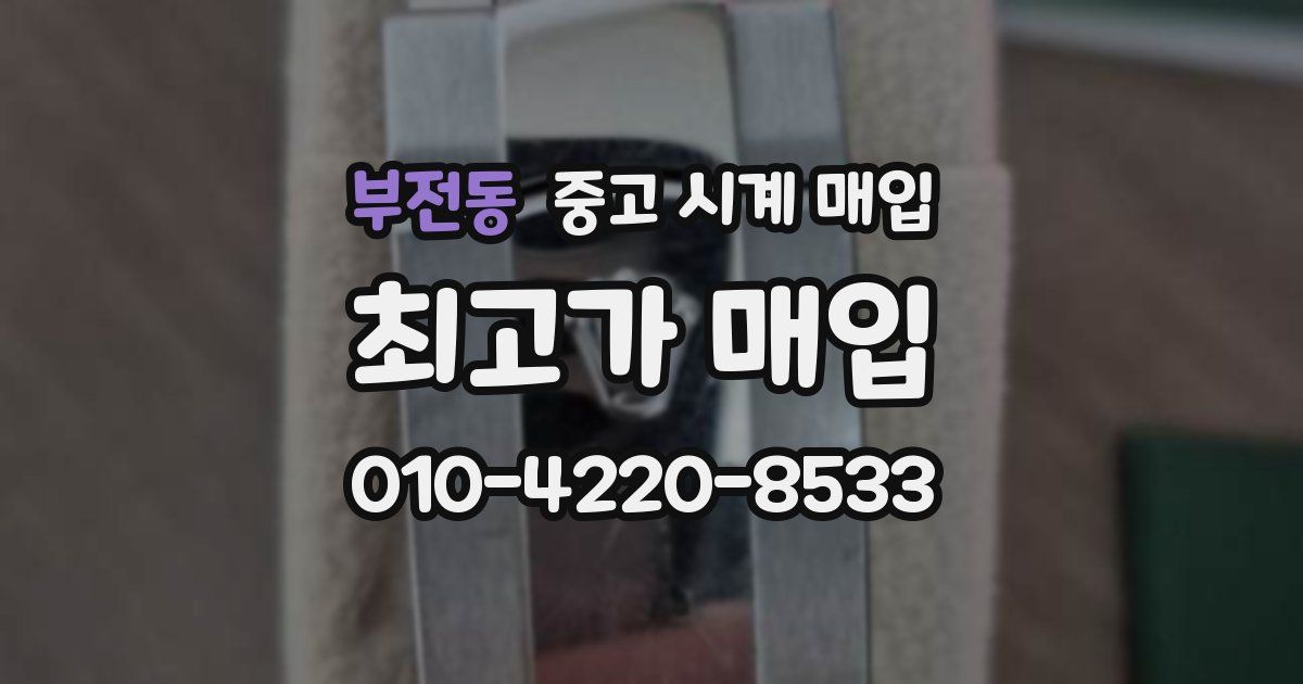 부전동 중고 시계 매입