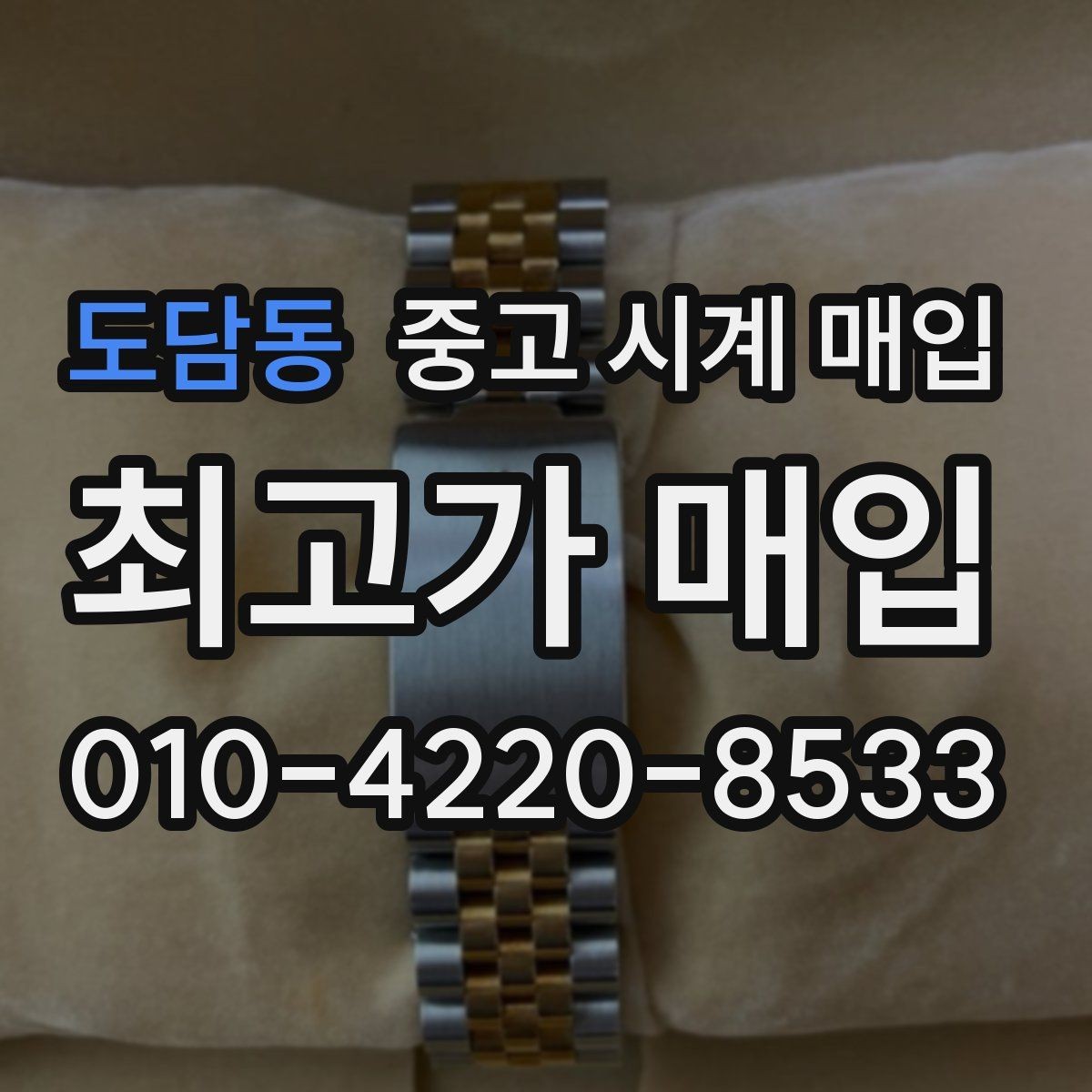 도담동 중고 시계 매입 튜더 다이버 워치 시세 포인트 정리