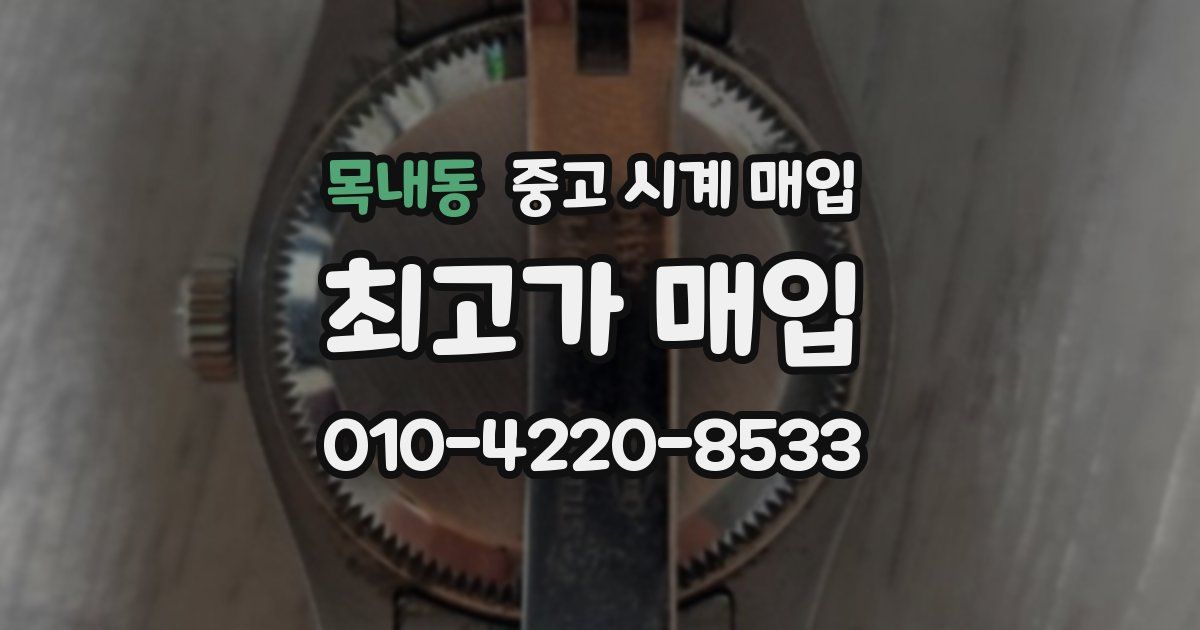 목내동 중고 시계 매입