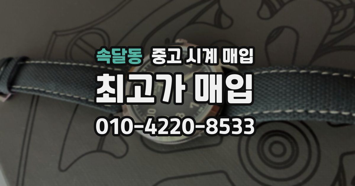 속달동 중고 시계 매입