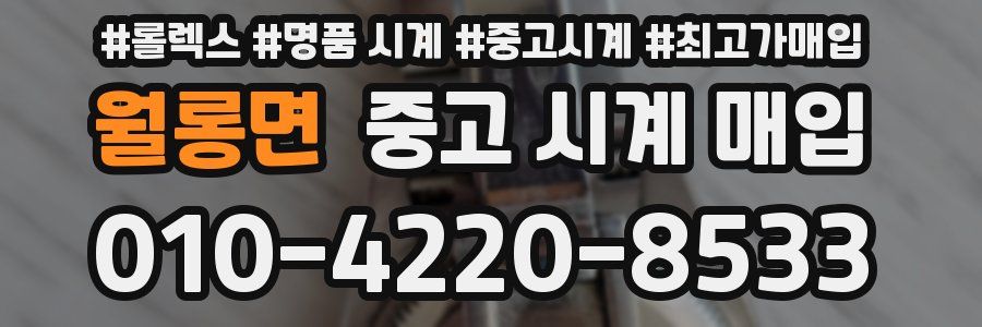 월롱면 중고 시계 매입