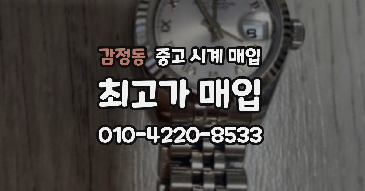 감정동 중고 시계 매입