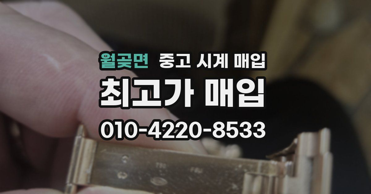 월곶면 중고 시계 매입