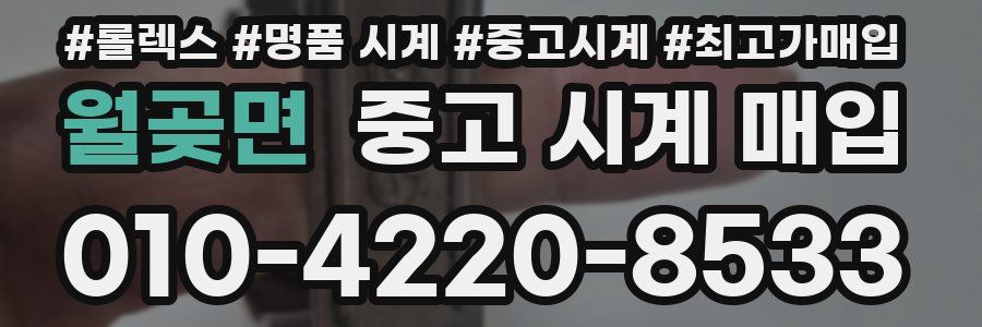 월곶면 중고 시계 매입