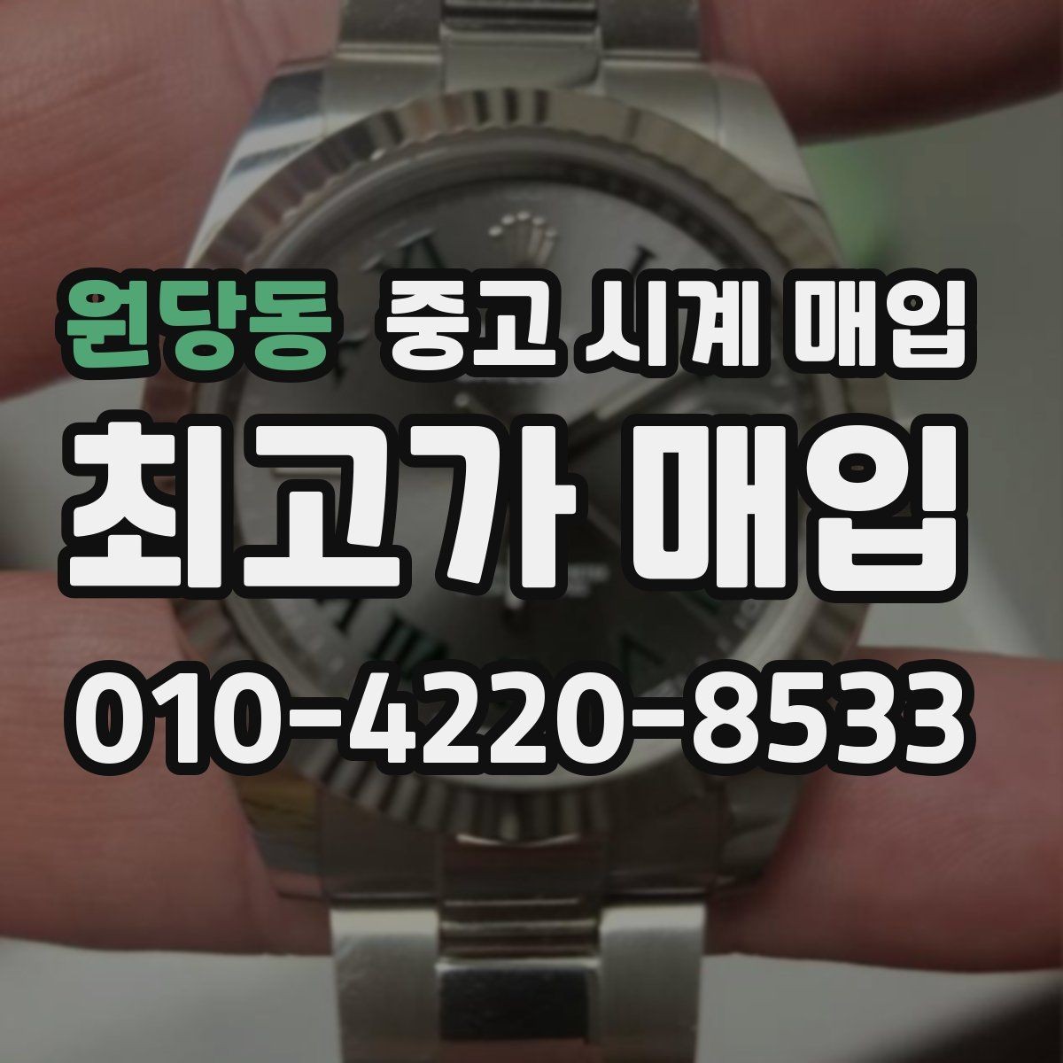 원당동 중고 시계 매입 제니스 다이버 워치 시세 포인트 정리
