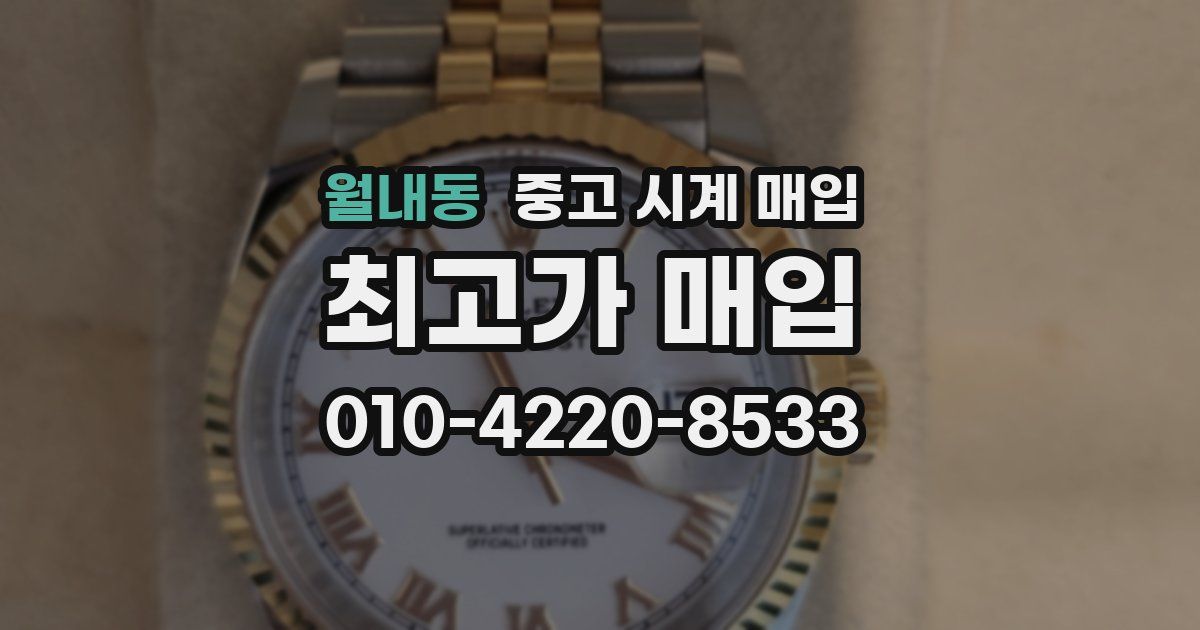 월내동 중고 시계 매입