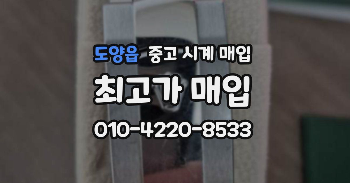 도양읍 중고 시계 매입