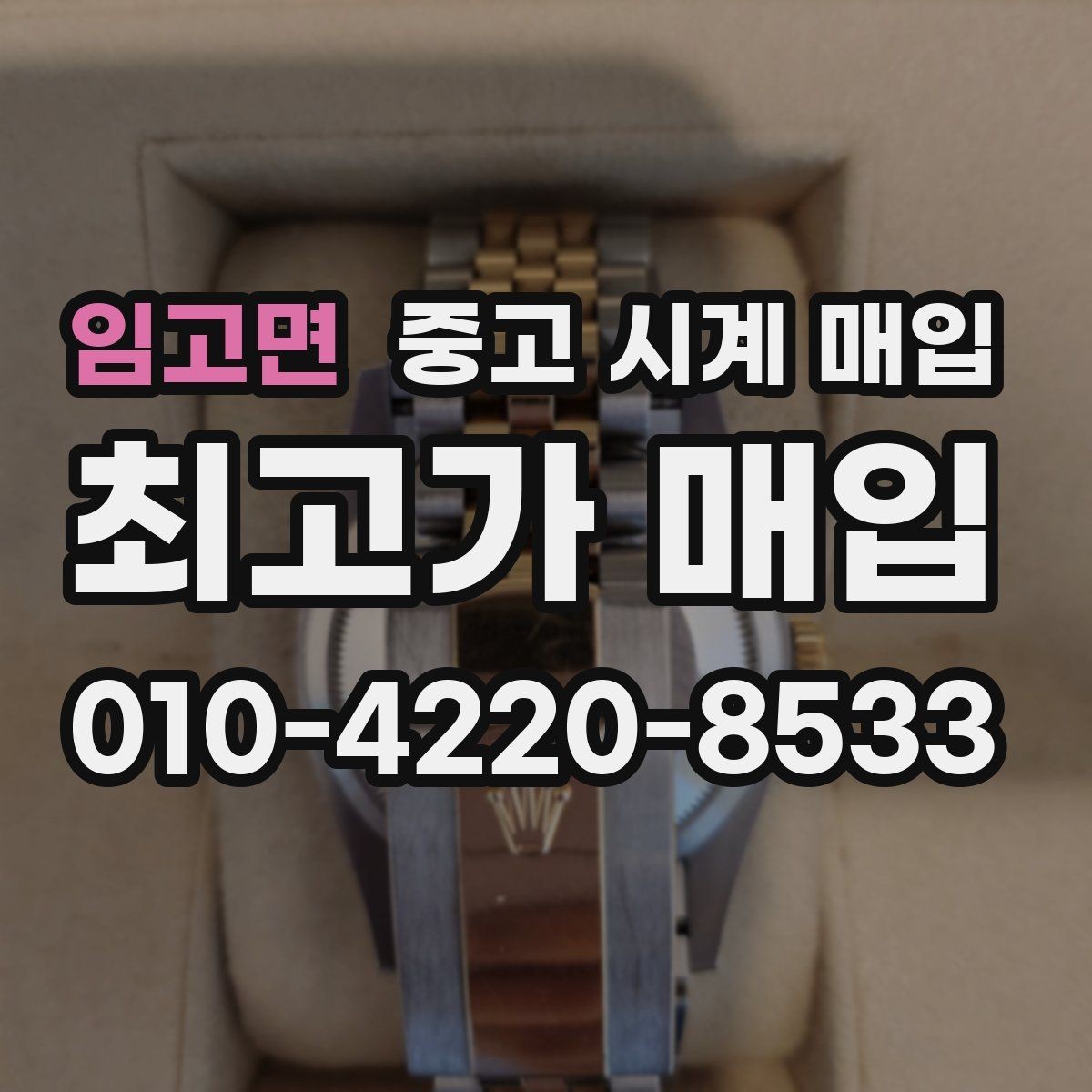 임고면 중고 시계 매입 IWC 빈티지 라인 시세 포인트 정리
