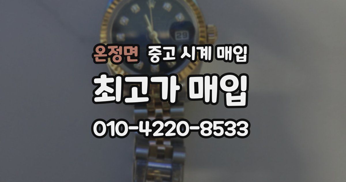 온정면 중고 시계 매입