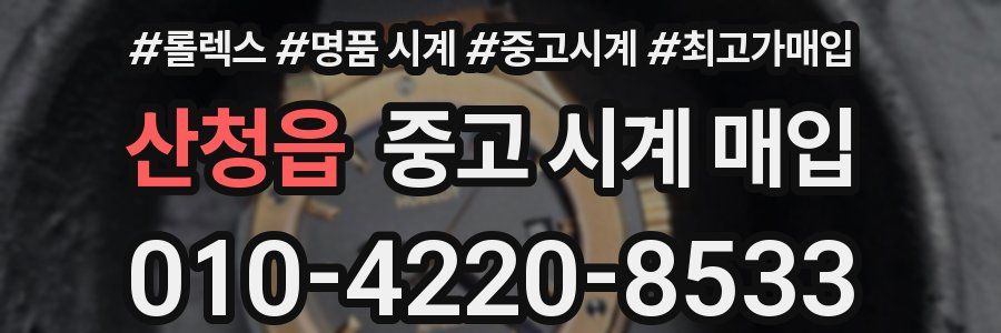 산청읍 중고 시계 매입