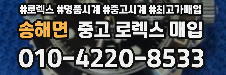 송해면 중고 로렉스 매입