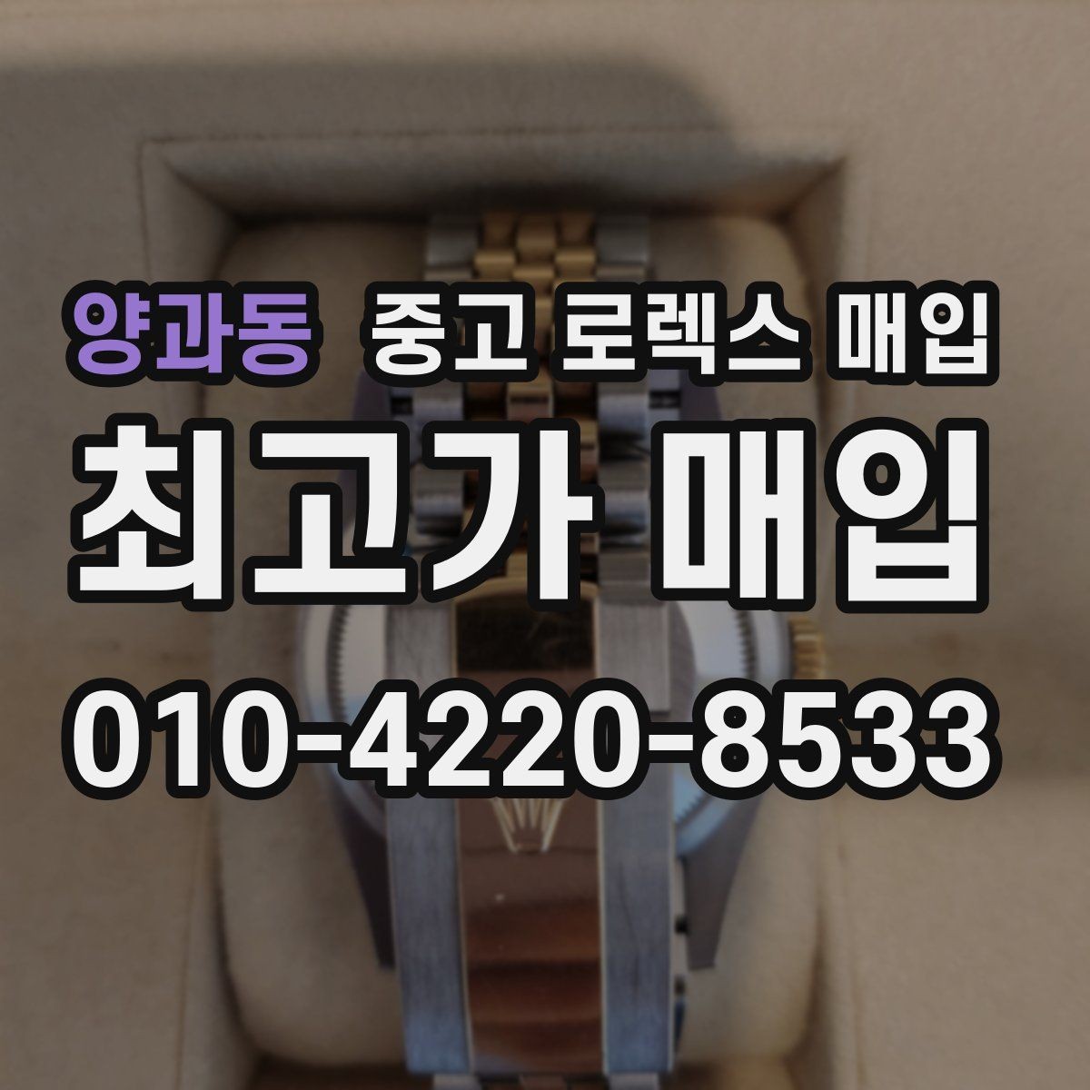 양과동 중고 로렉스 매입 레퍼런스 번호로 정확히 조회하는 방법