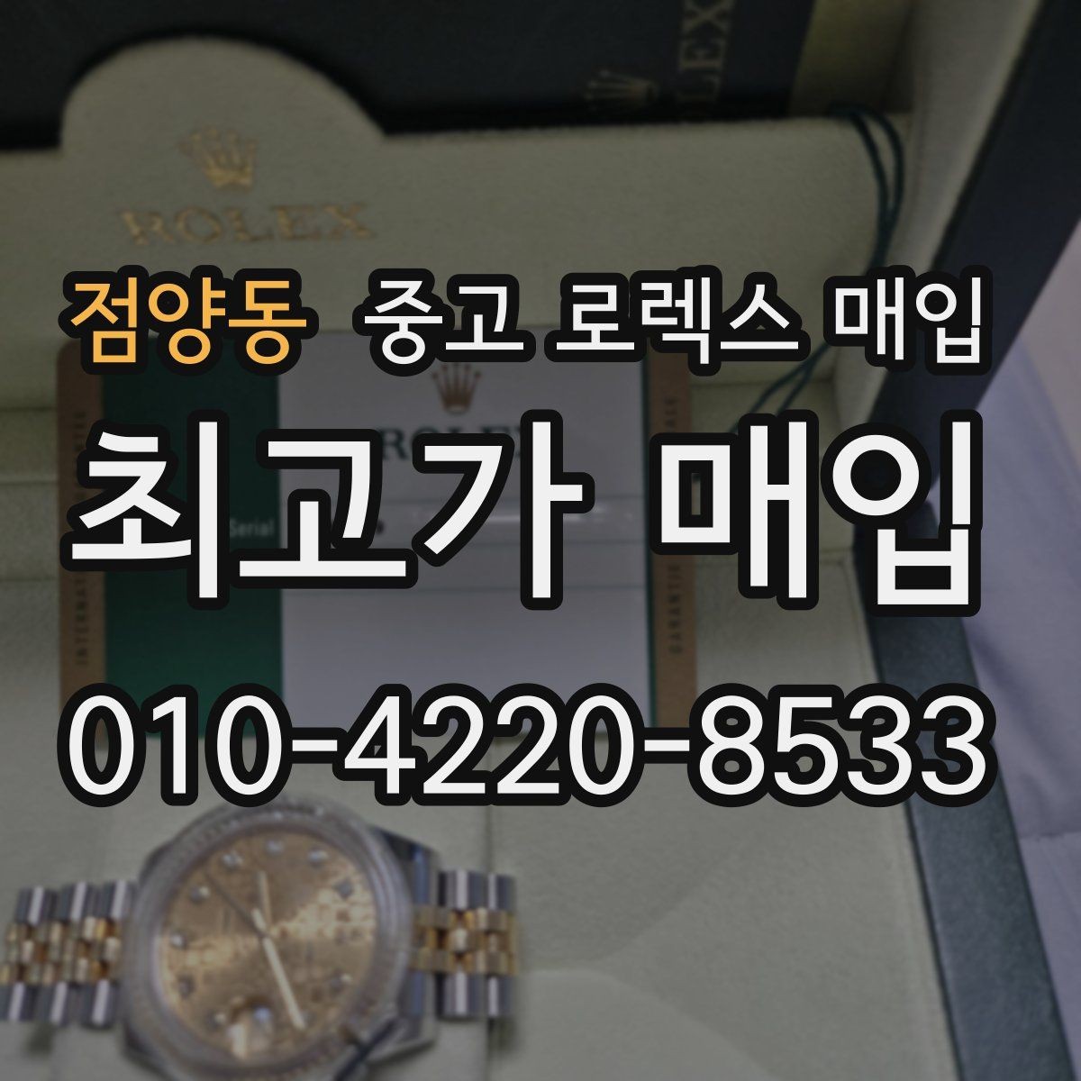 점양동 중고 로렉스 매입 단종 라인업 시세 확인 방법