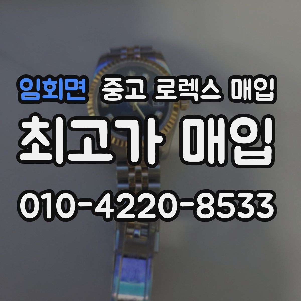 임회면 중고 로렉스 매입