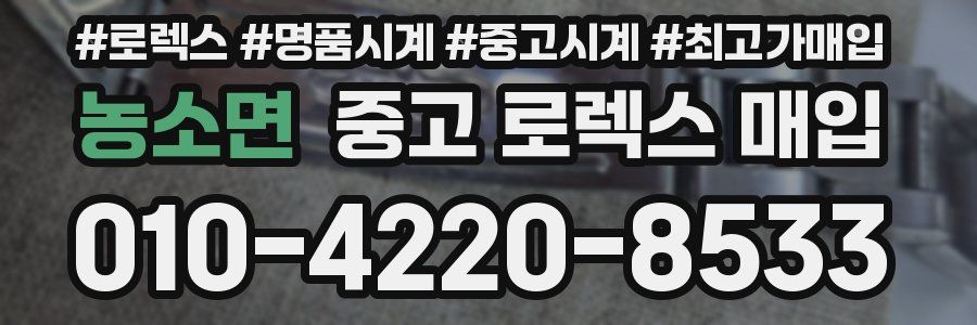 농소면 중고 로렉스 매입