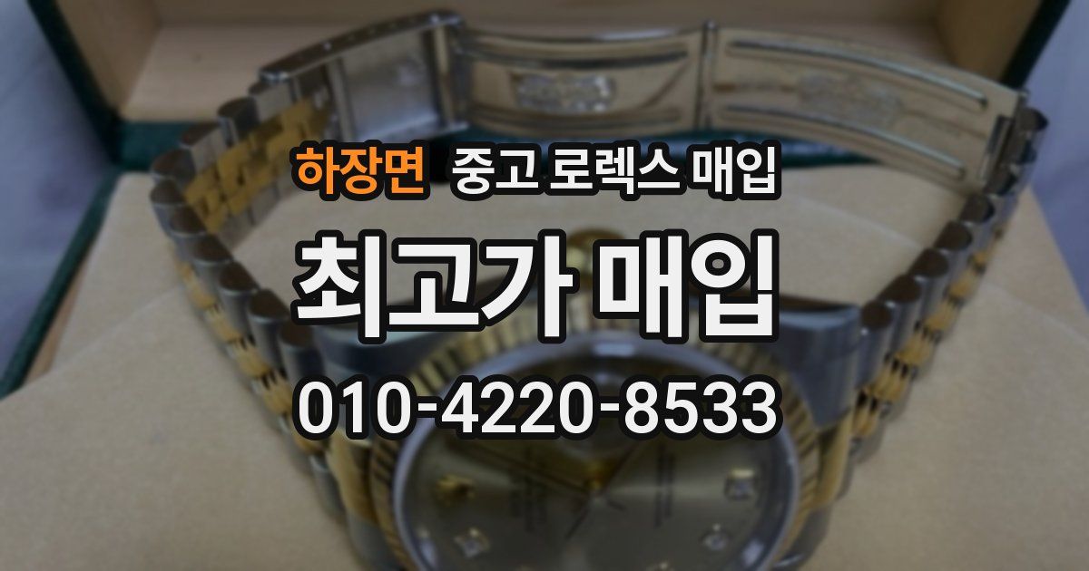 하장면 중고 로렉스 매입