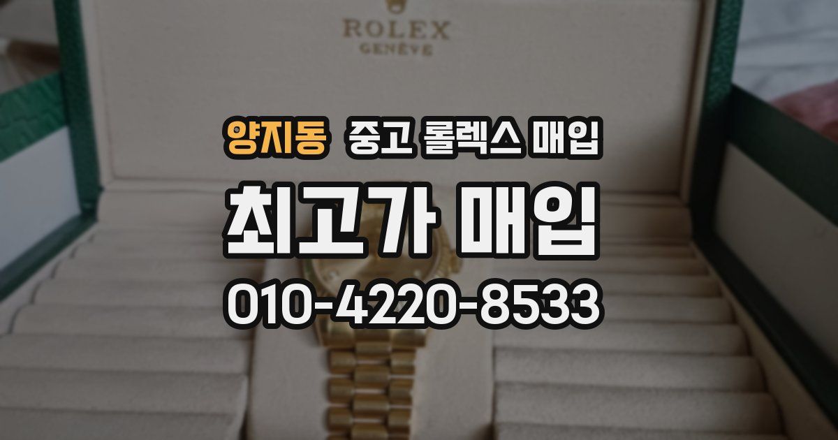 양지동 중고 롤렉스 매입
