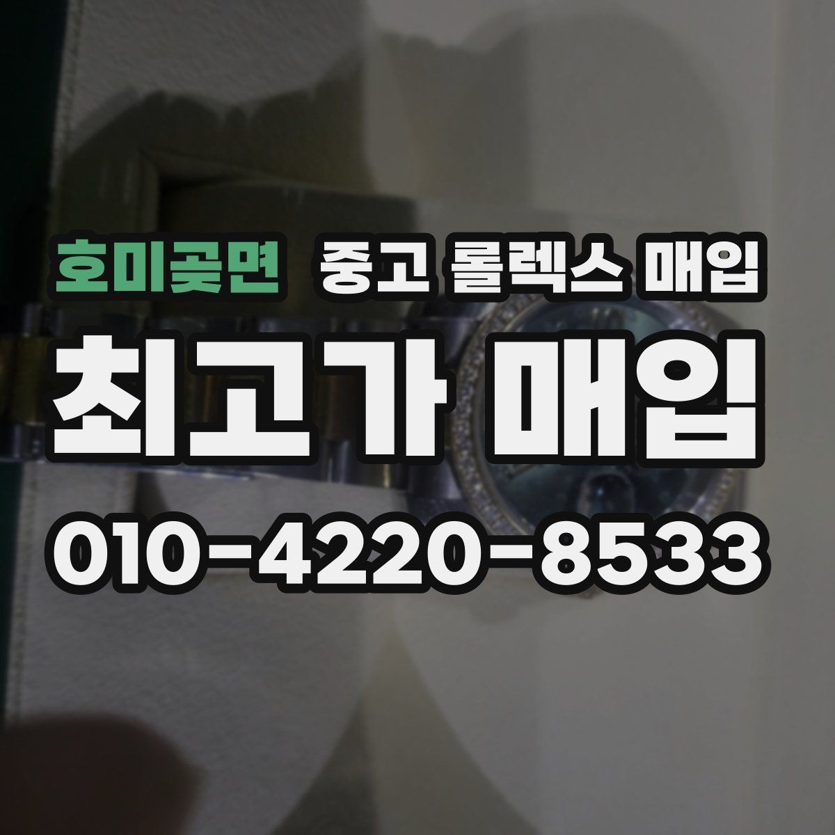호미곶면 중고 롤렉스 매입 콤비 모델 시세 보는 법