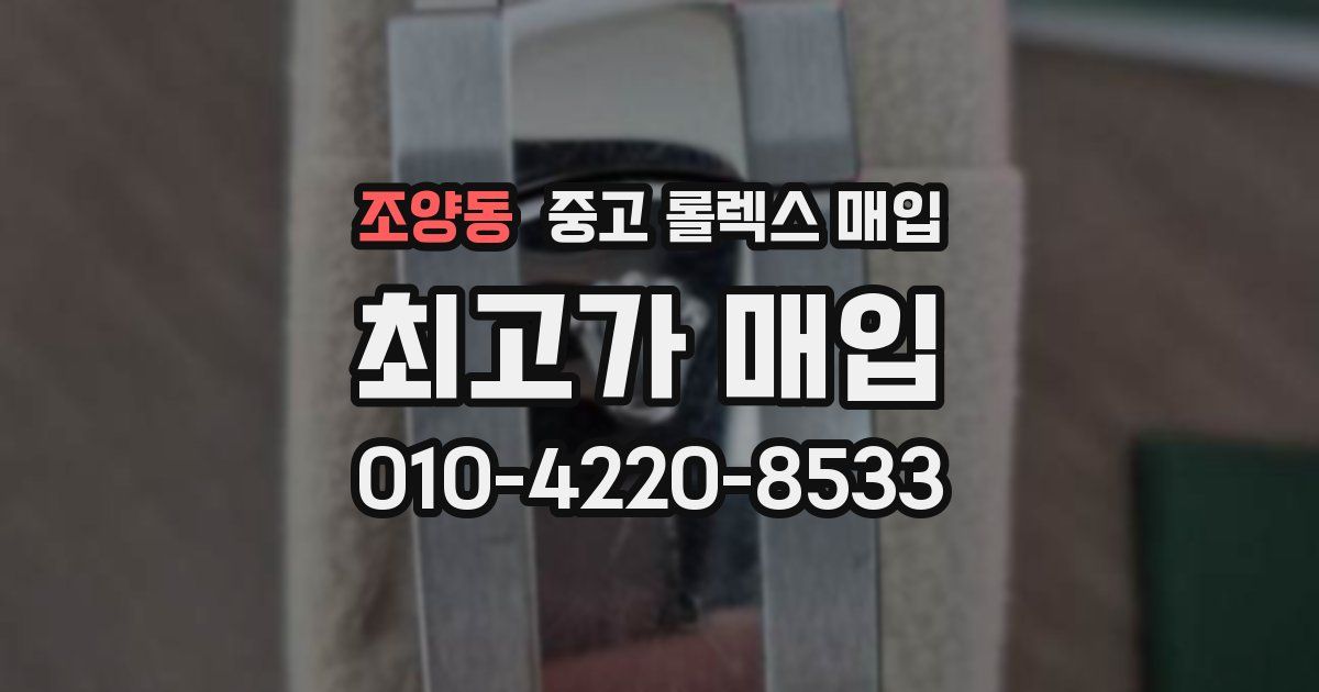 조양동 중고 롤렉스 매입