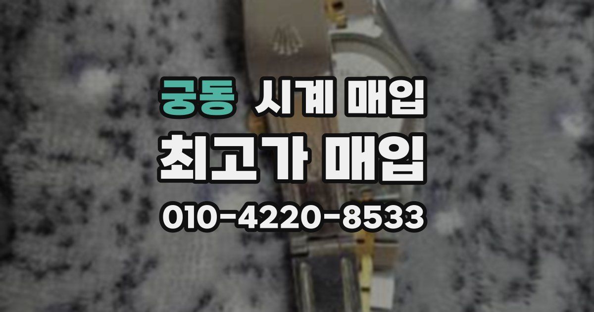 궁동 시계 매입