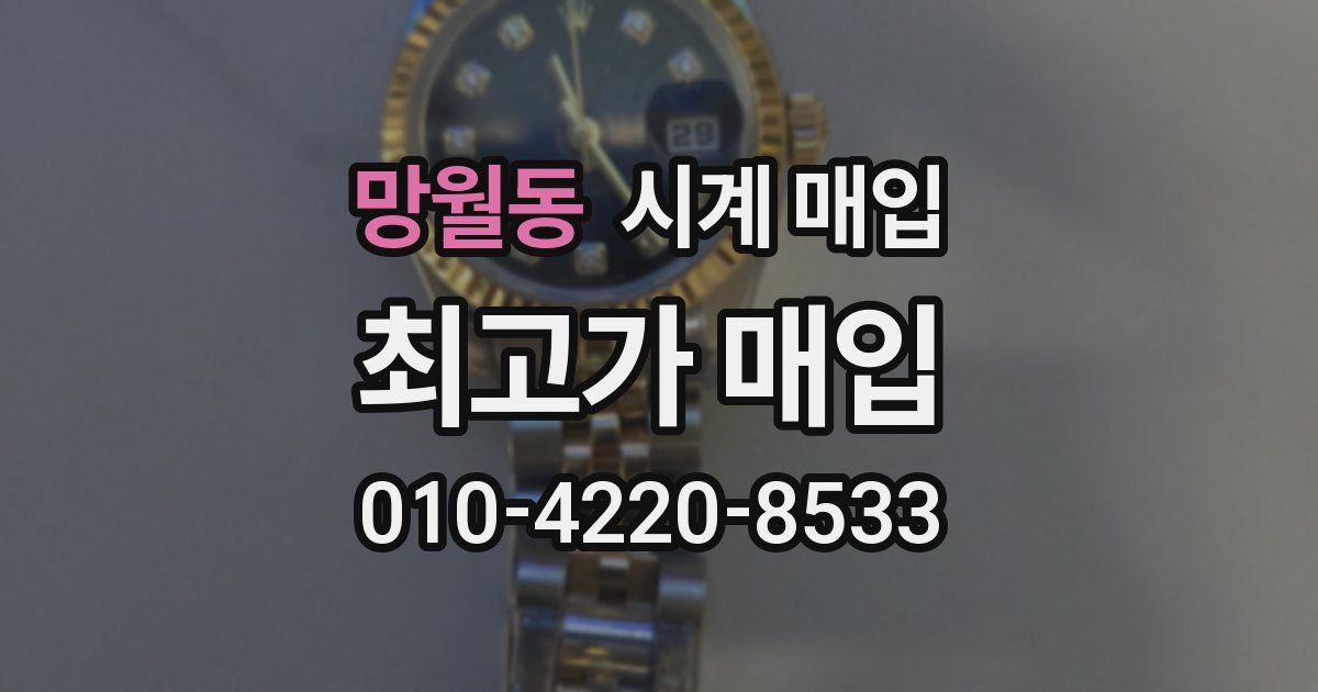 망월동 시계 매입