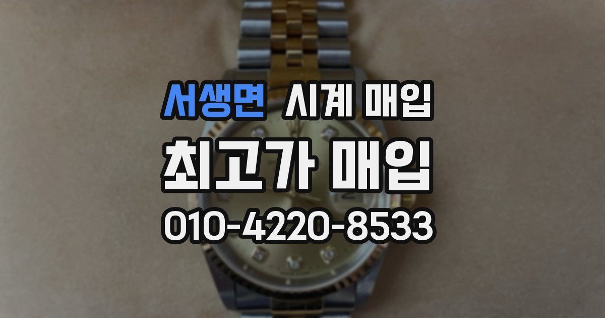 서생면 시계 매입