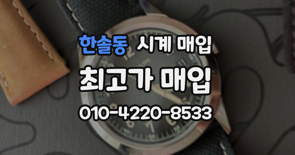 한솔동 시계 매입
