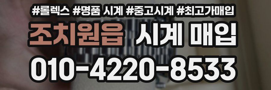조치원읍 시계 매입