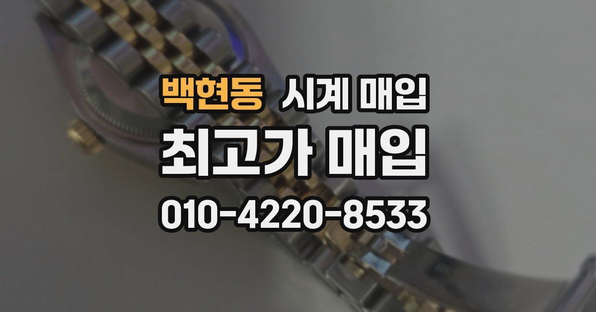 백현동 시계 매입