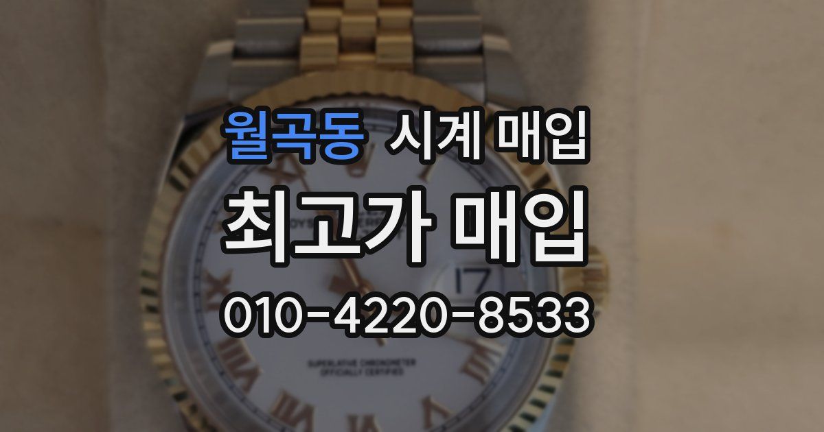 월곡동 시계 매입
