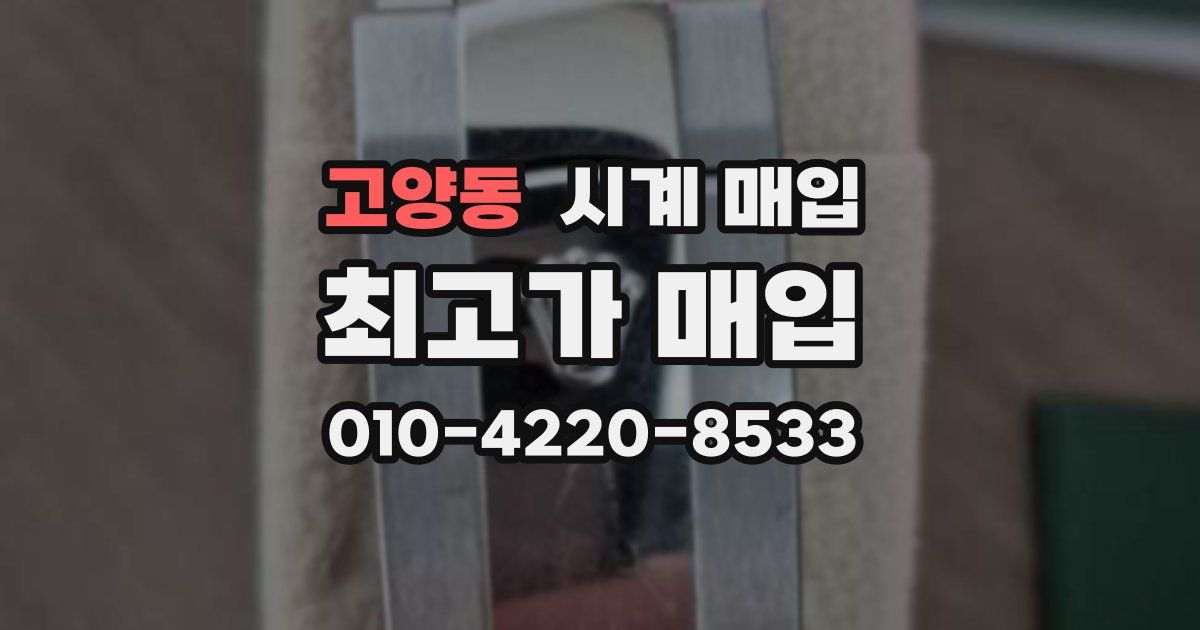 고양동 시계 매입
