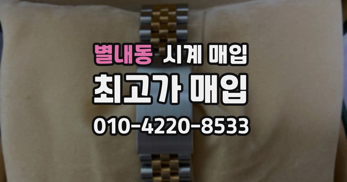별내동 시계 매입