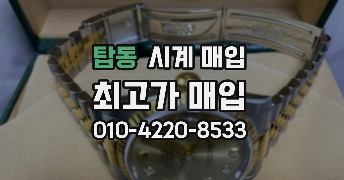 탑동 시계 매입